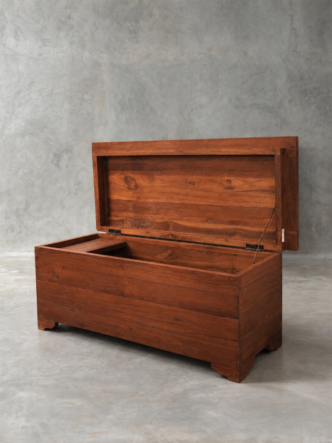 The Kashi Trunk