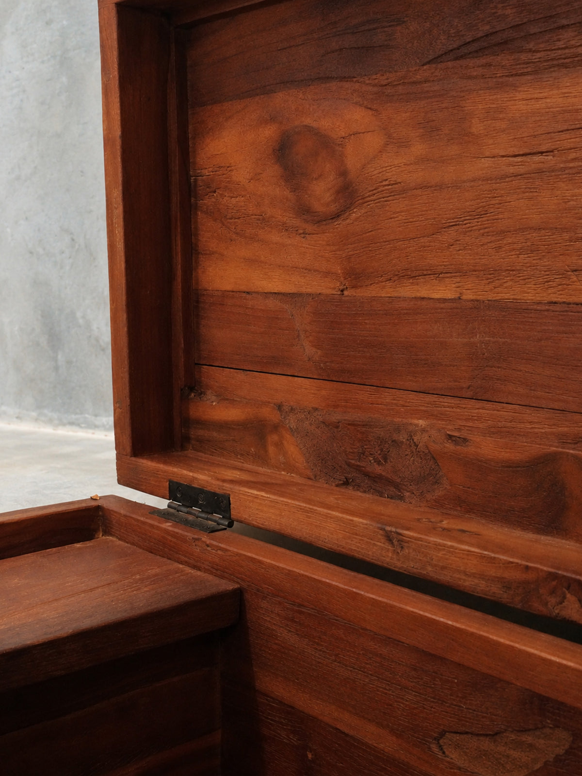 The Kashi Trunk