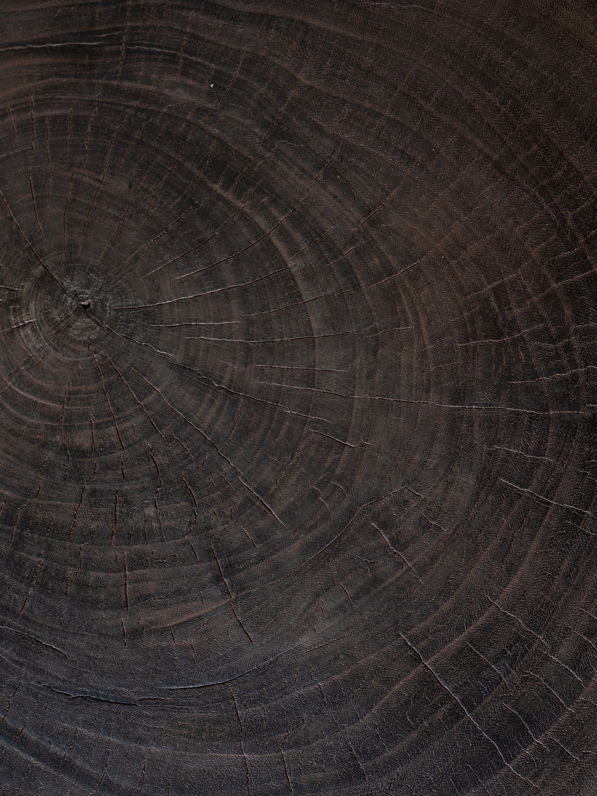The Origin Coffee Table M