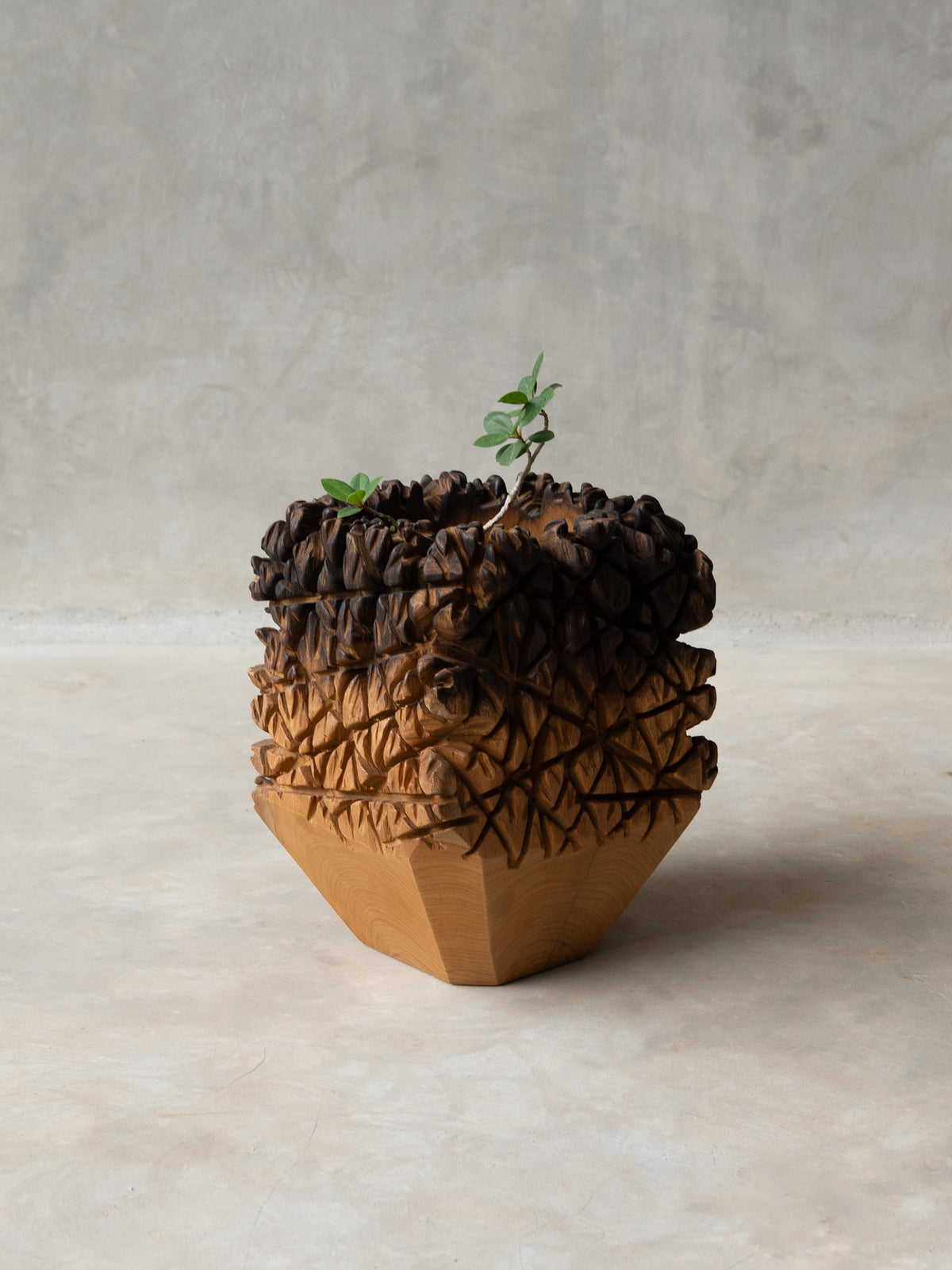 The Burn Planter