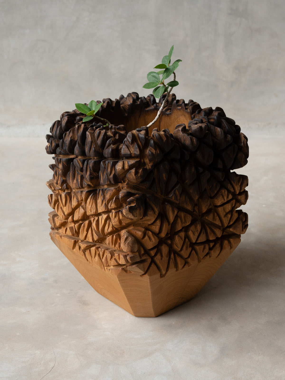 The Burn Planter