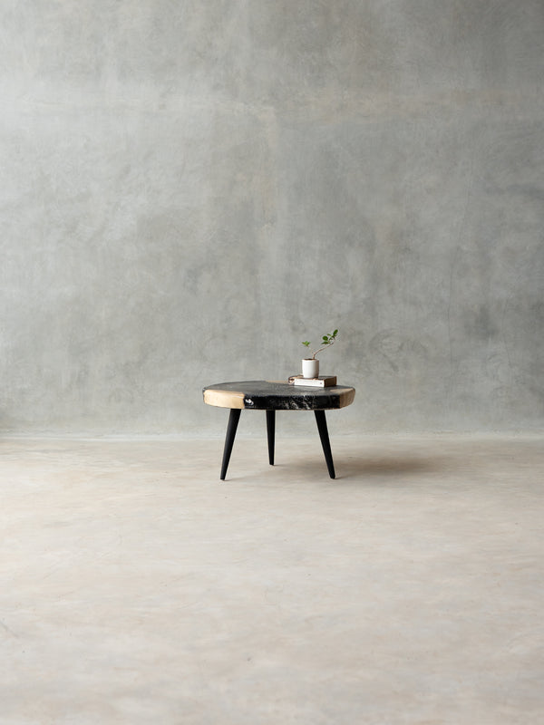 The Core Coffee Table