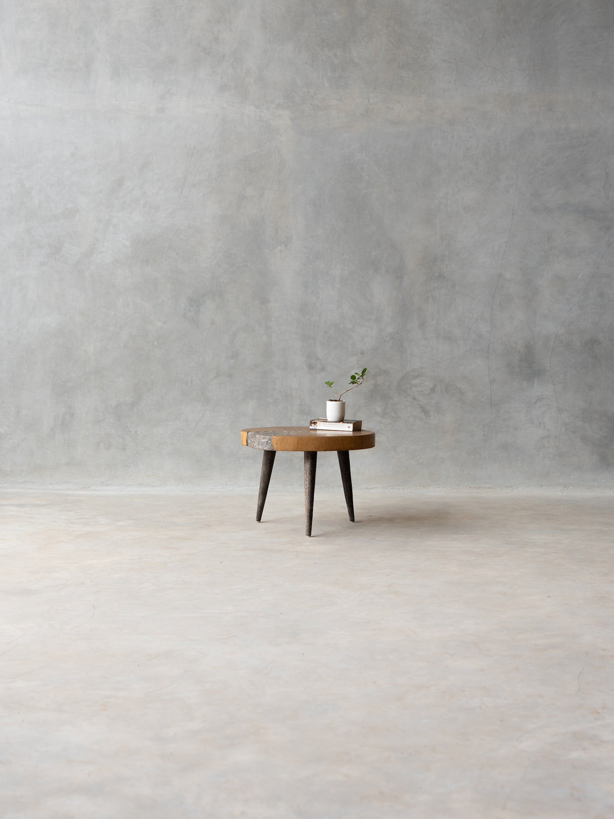 The Growth Coffee Table M