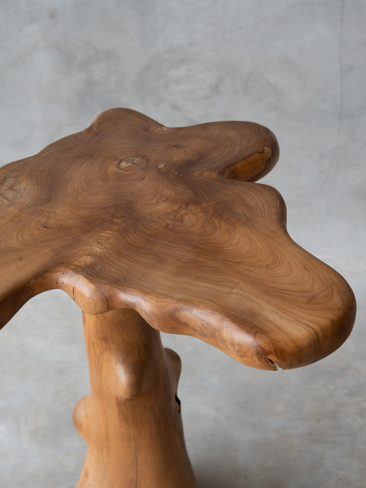The Tree Table M