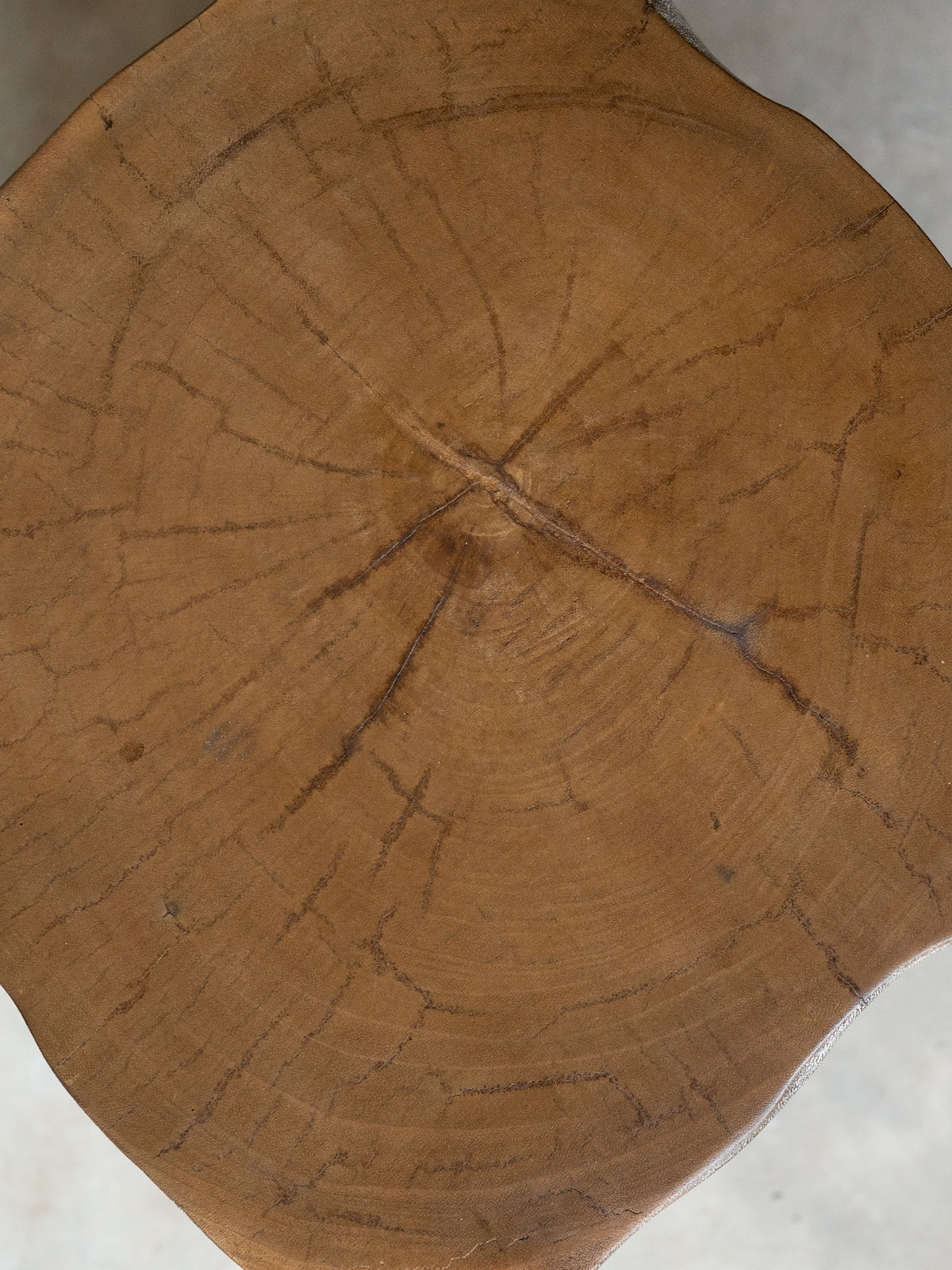 The Trunk Stool